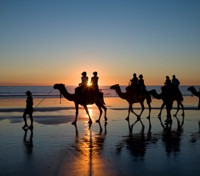Camel Ride